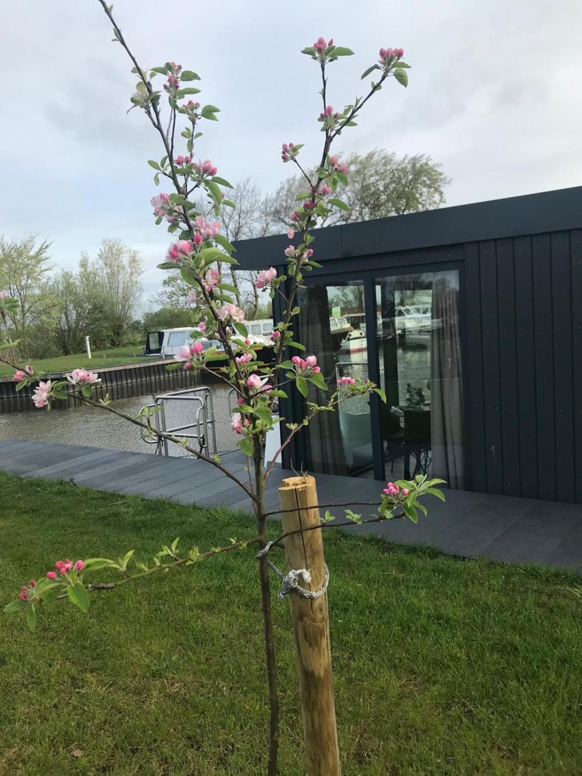 Uniek Overnachten In Een Tiny House Op De Appelhof Wommels Extérieur photo